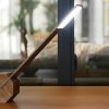 Octagon One Portable Desk Light