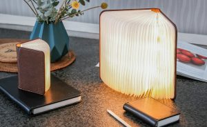 lampe en lévitation SMART MOON LAMP - Gingko Electronics
