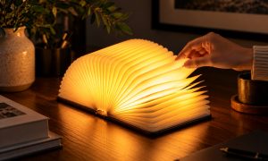 Smart Book Light (Natural Wood)