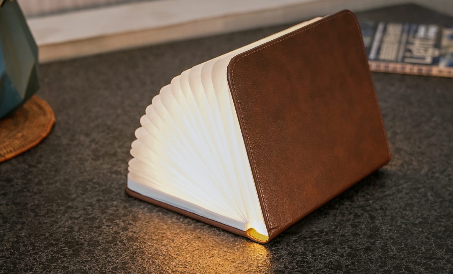 Gingko Smart Book Light Fibre Leather