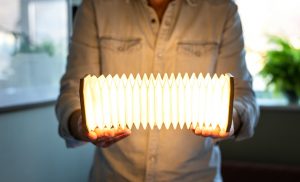 Evaro Lightbulb Lampe Flottante - noyer - Gingko - Axeswar Design