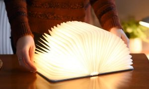 Smart Book Light (Linen Fabric)