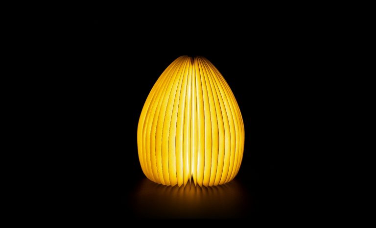 Smart Vase Light