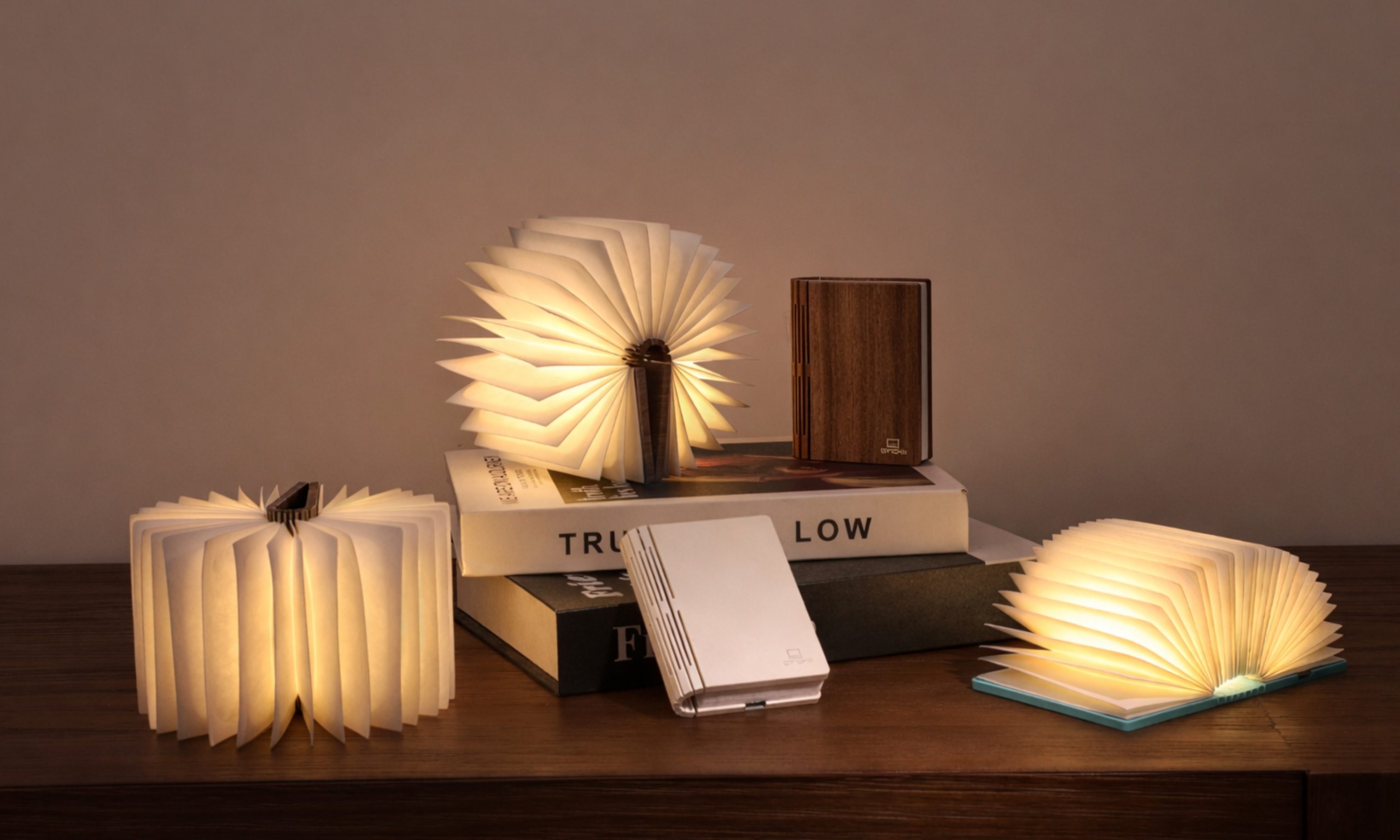 Gingko » Super Mini Smart Book Light – Palm Edition