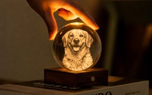 Amber Crystal Light - Companion Collection